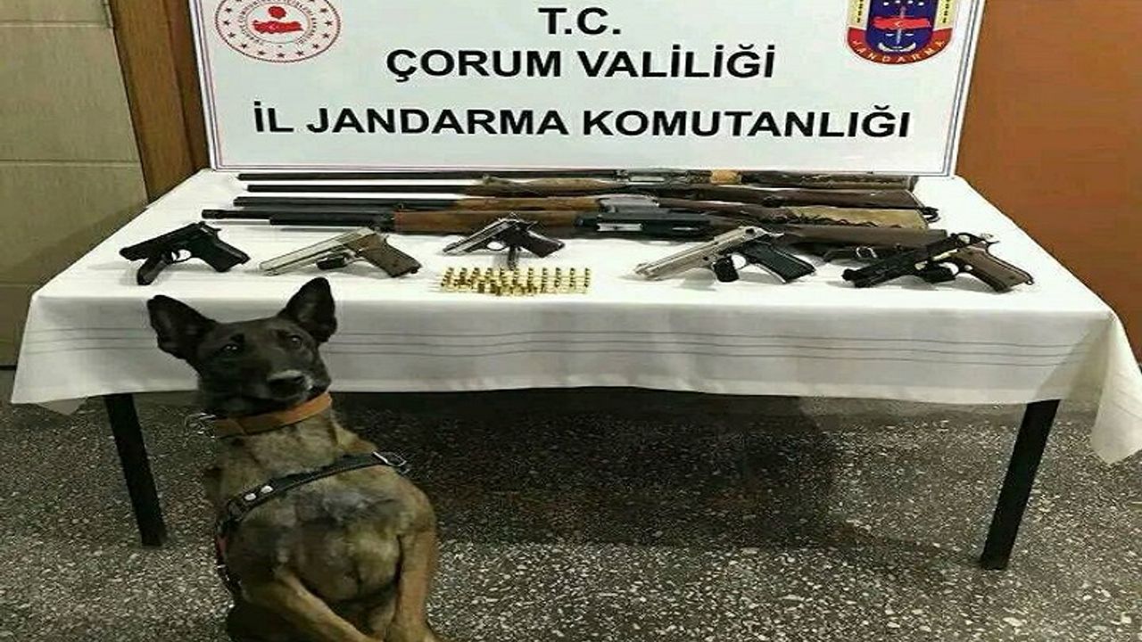 Osmancık'ta ruhsatsız silah operasyonu