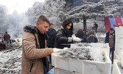 Karlar altında hamsi festivali: 2 ton hamsi tükettiler