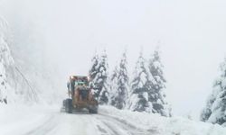 Giresun’da 45 köy yolu kar nedeniyle ulaşıma kapandı