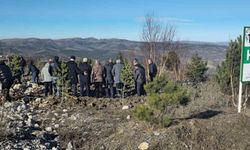 Soğuk havaya aldırmayan Tokatlılar fidan dikmek için birbirleriyle yarıştı