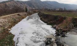 Tersakan Çayı kirlilik nedeniyle köpük akıyor