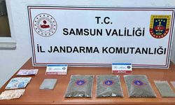 Samsun’da jandarma 1 kilo 50 gram bonzai ele geçirdi: 1 gözaltı