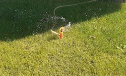Şebeke suyunu bahçelerde kullananlara ceza!