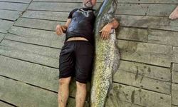 Amatör balıkçının ağına 52 kiloluk yayın balığı takıldı