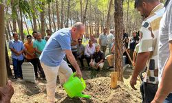 Kaymakam Kaşıkçı'nın yeğen acısı