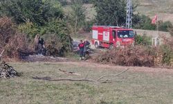 Sinop’ta otların yakılması paniğe neden oldu