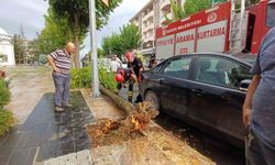 Yeni aldığı aracının üzerine ağaç devrildi