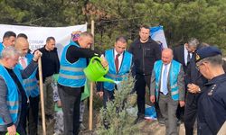 “Bir taraftan fidan dikiliyor diğer taraftan ormanlar ranta kurban ediliyor”