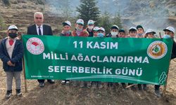 Osmancık’ta 11 Kasım Ağaçlandırma Seferberliği Günü