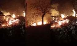 Köyde çıkan yangında evler zarar gördü!