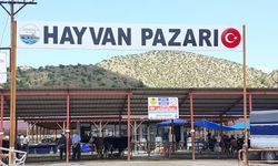 Osmancık'ta şap hastalığı nedeniyle hayvan pazarı kapatıldı!