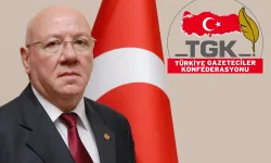 Nuri Kolaylı; Basın özgürlüğü gerçek anlamda sağlanmalı…