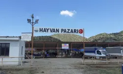 Osmancık hayvan pazarı 25 Ekim'de açılıyor