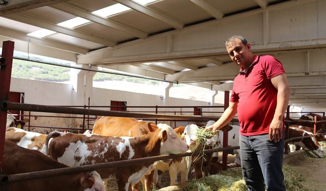 TKDK desteğiyle süt üretim çiftliği kurdu