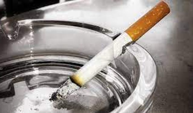 Prof. Dr. Tevfik Özlü: “Akciğer kanserlerinin yüzde 90’ının sebebi sigara”
