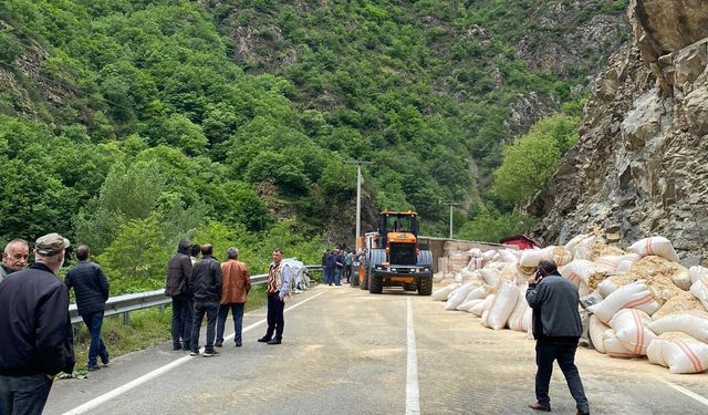 Saman yüklü tır devrildi: 1 yaralı