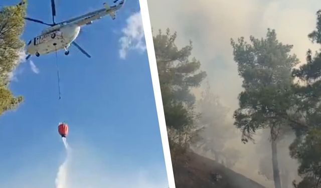 Kargı'daki orman yangınına havadan ve karadan müdahale ediliyor