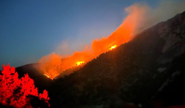 Yüksek Gerilim Hattı kaynaklı yangında 30 hektar alan zarar gördü