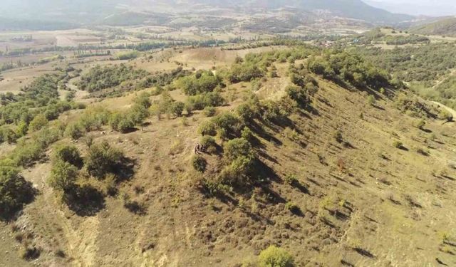 Haçlı ordusunun bozguna uğradığı tarihi zaferin izleri gün yüzüne çıkarılacak