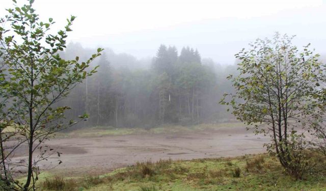 Trabzon’da turizmi geliştirmek için yaylalara yapay göletler yapılıyor