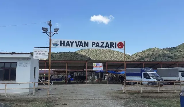 Osmancık hayvan pazarı 25 Ekim'de açılıyor