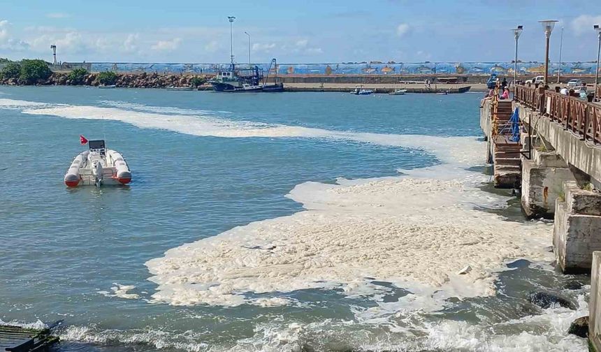 Karadeniz’deki kirliliğin müsilaj değil, alglerden kaynaklandığı ortaya çıktı