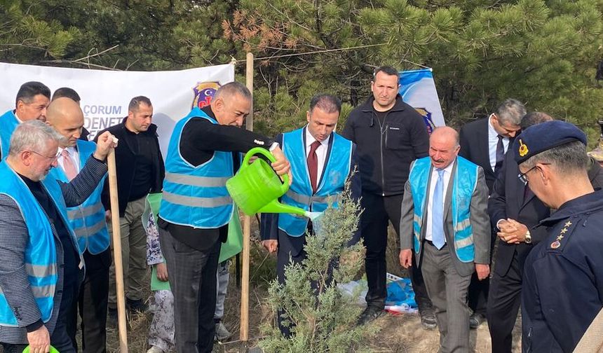 “Bir taraftan fidan dikiliyor diğer taraftan ormanlar ranta kurban ediliyor”