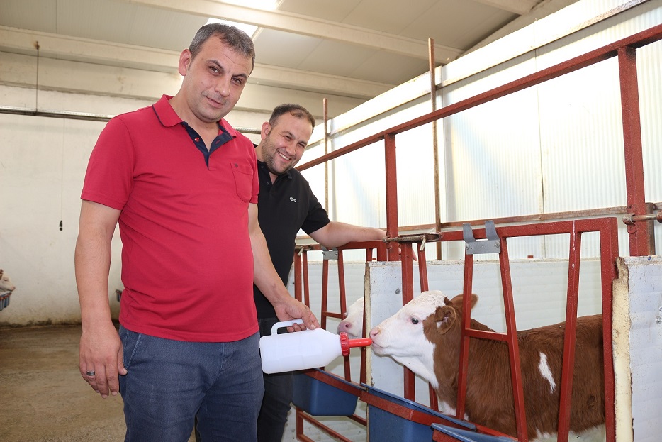 TKDK desteğiyle süt üretim çiftliği kurdu (4)