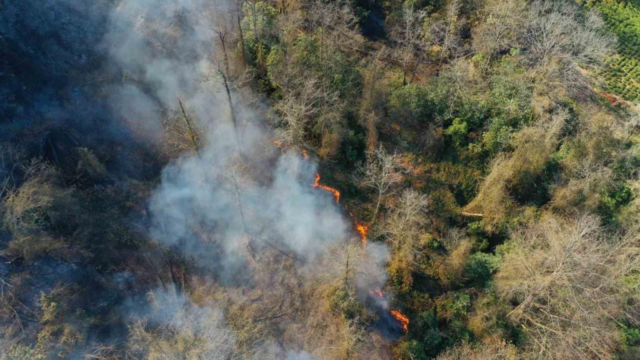 Orman Yangınında Bir Kişi Gözaltına Alındı