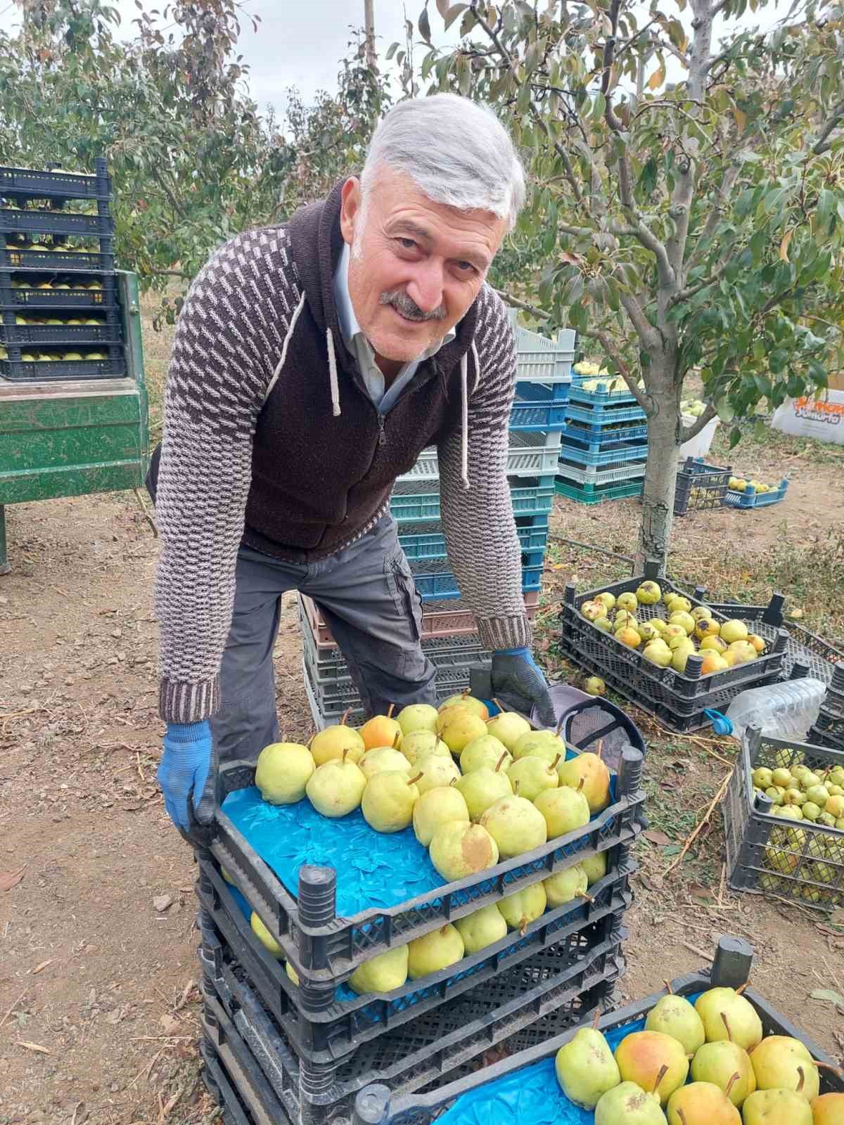 Emekli Astsubay Köyüne Dönüp 15 Dekarda Deveci Armutu Yetiştirdi