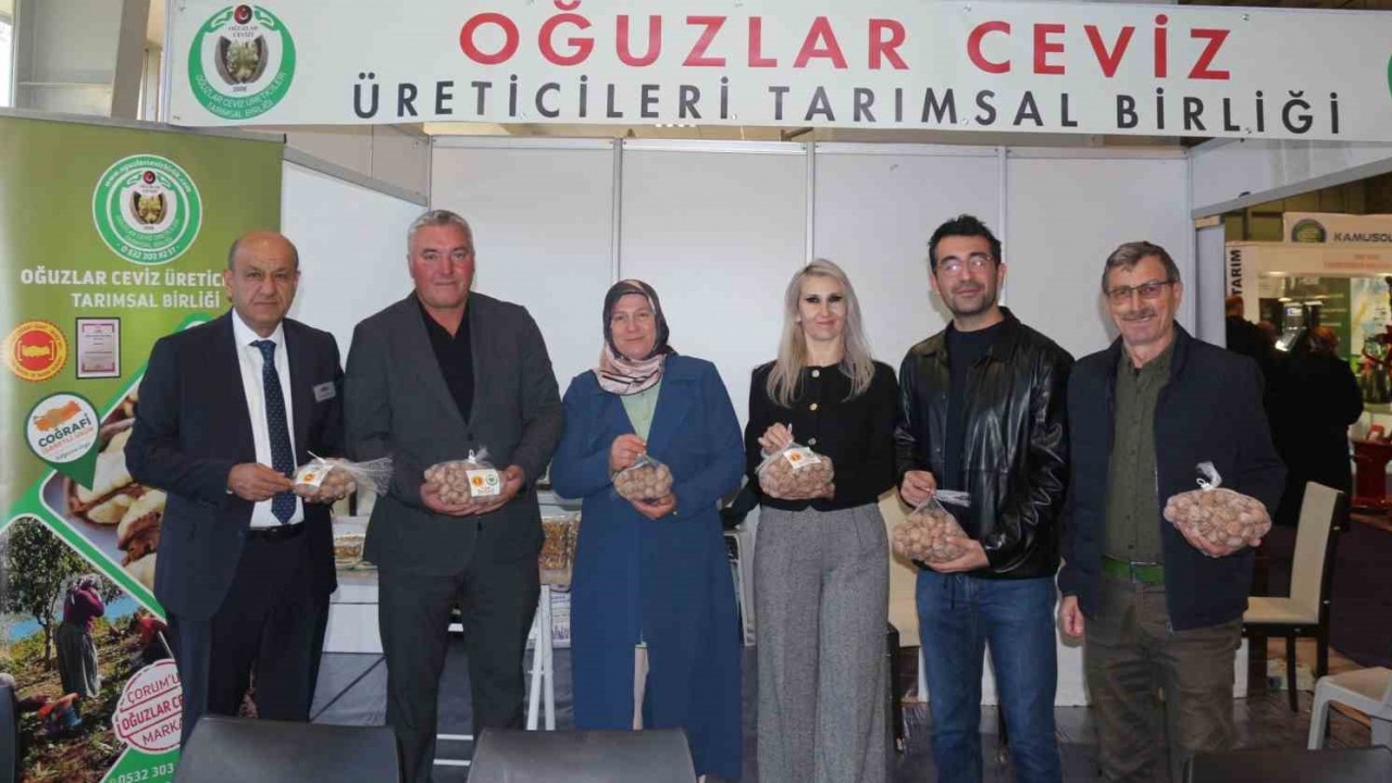 Çorum’da Düzenlenen Ceviz Fuarı Yoğun Ilgi Gördü